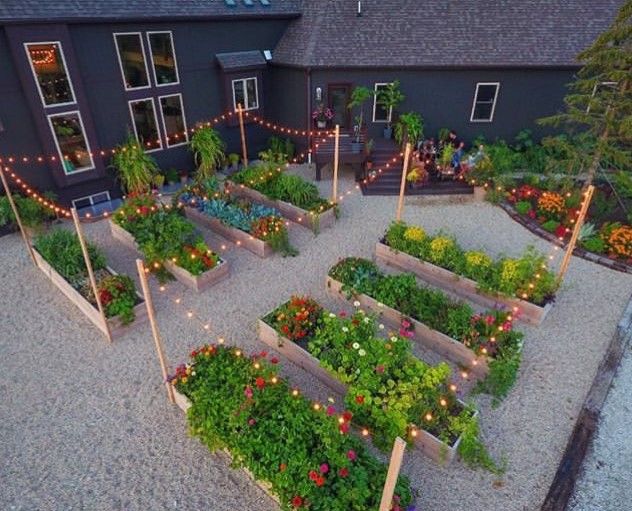 Stunning Vegetable Garden Ideas | Family Food Garden