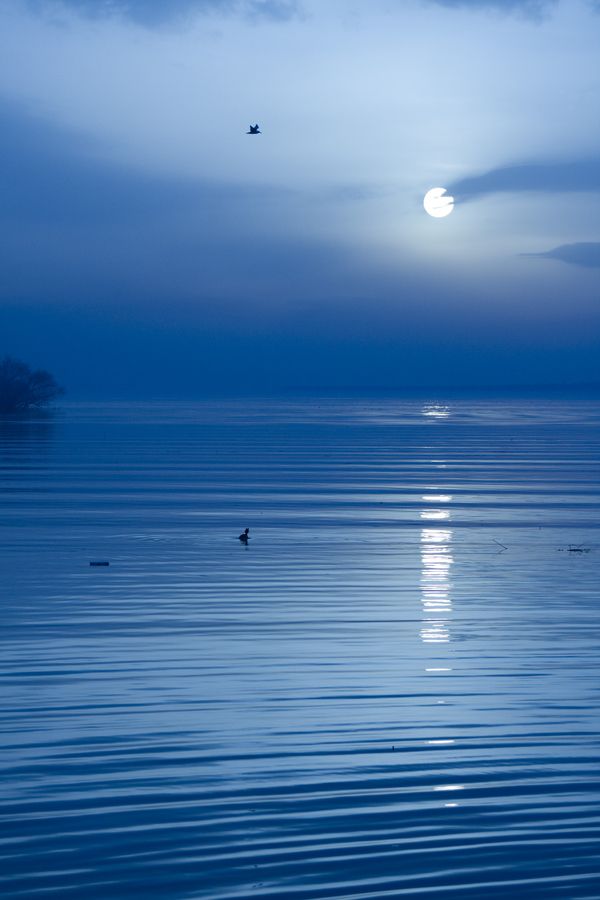 This is the most serene image ever, light sunset or moonlight splaying over a calm body of water! Nothing in the world brings me to peace in nature quite like this