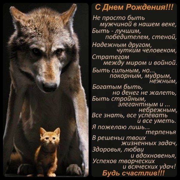 С днем учителя поздравления притчи С днем учителя поздравления притчи
