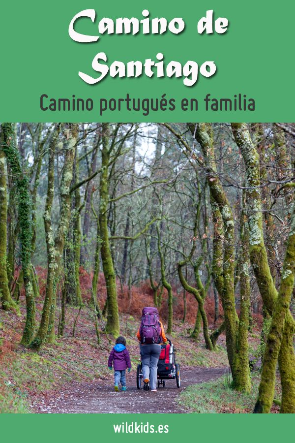 Viajes Con Niños Wildkids Camino De Santiago Santiago De Compostela Santiago