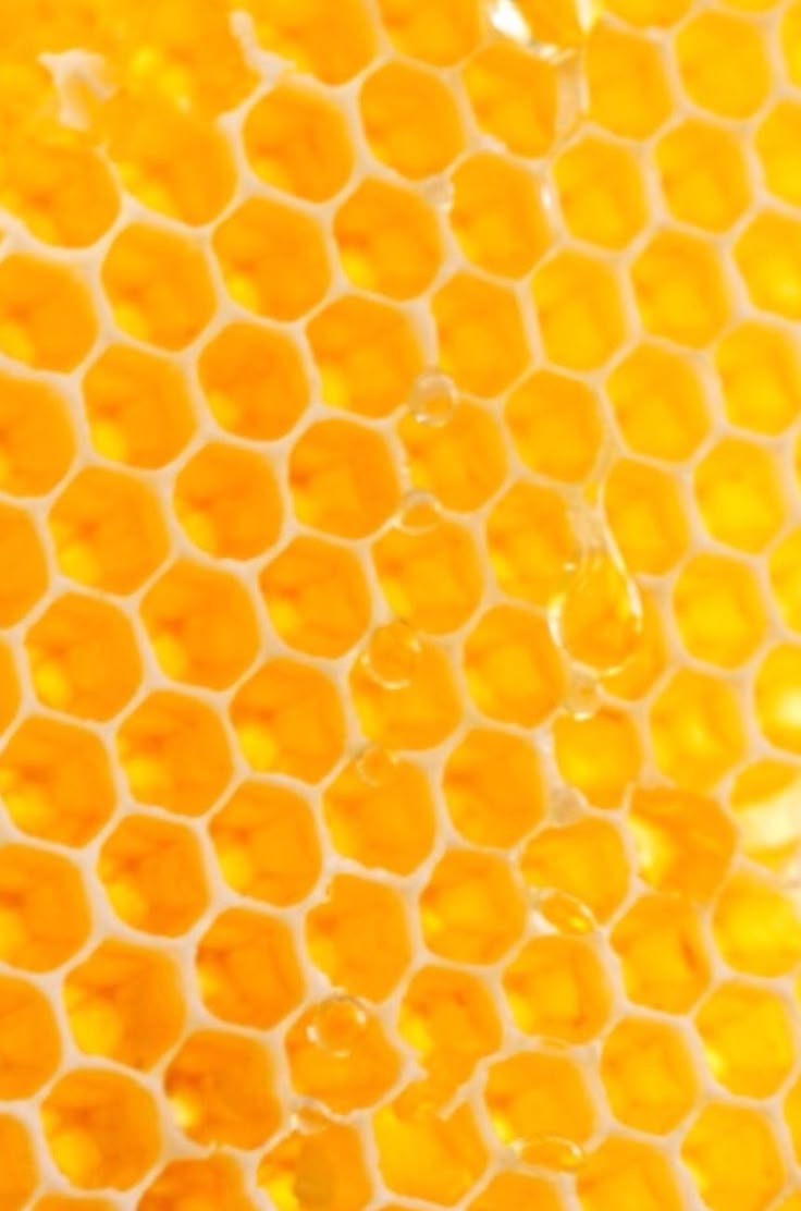 Lemon yellow - Barium chromate, barium yellow, Steinbhl yellow Lemon yellow - Barium chromate, barium yellow, Steinbhl yellow