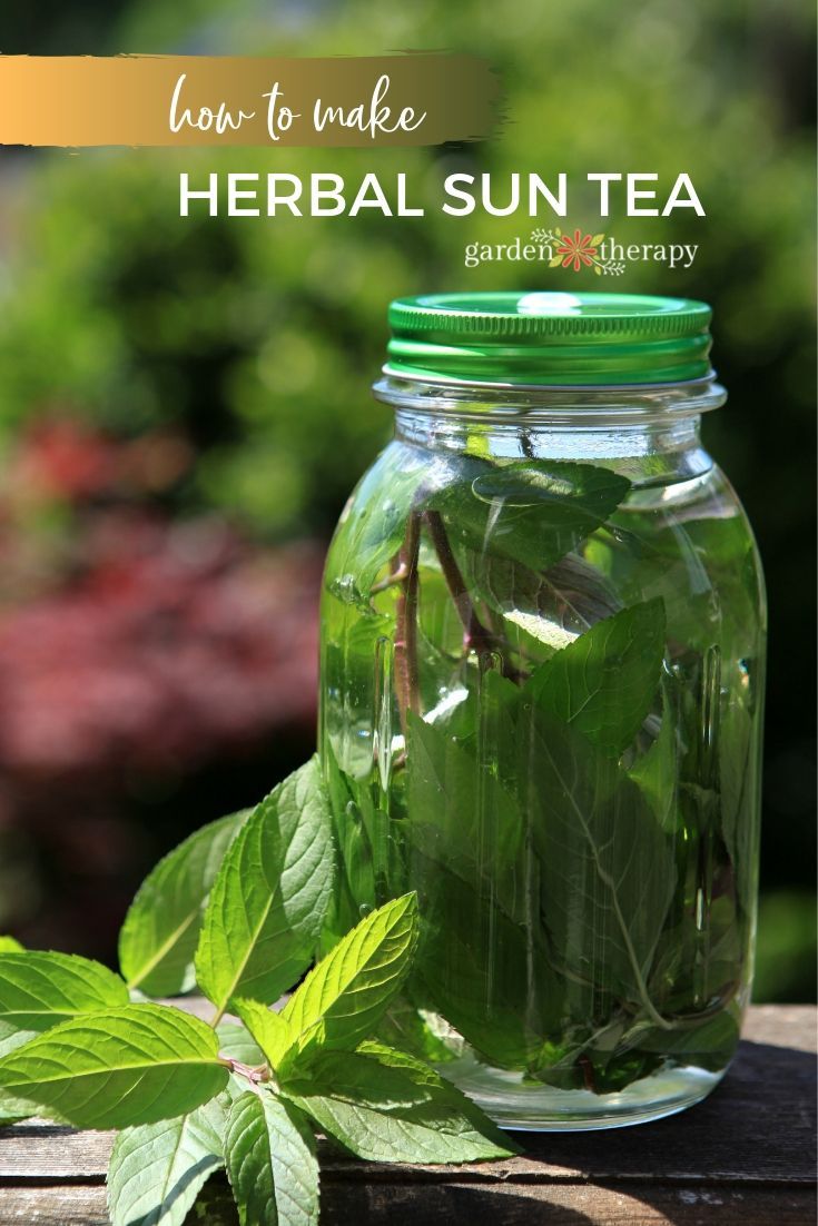 Uplift Your Day With Organic And Natural Herbal Teas Uplift Your Day With Organic And Natural Herbal Teas Organic Herbal Tea Herbalism Herbal Tea