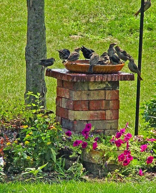Garden Ideas With Bricks best 10+ brick garden ideas on pinterest | brick path, brick Garden Ideas With Bricks best 10+ brick garden ideas on pinterest | brick path, brick
