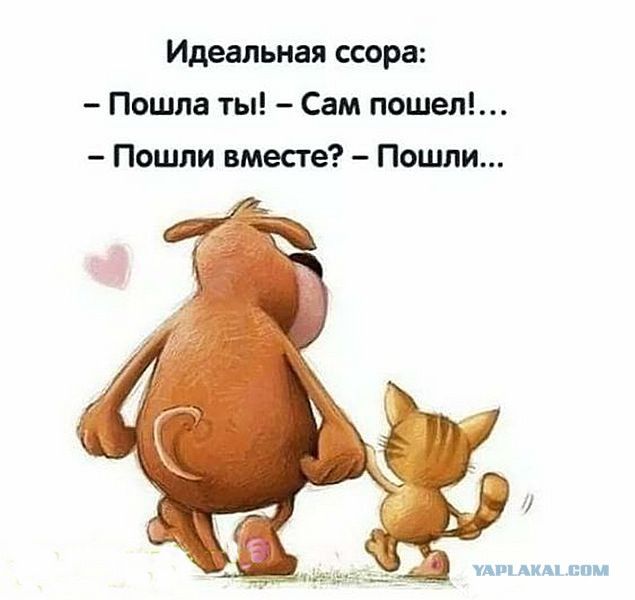 Позитивные Фото С Юмором С Надписями Прикольные Позитивные Фото С Юмором С Надписями Прикольные