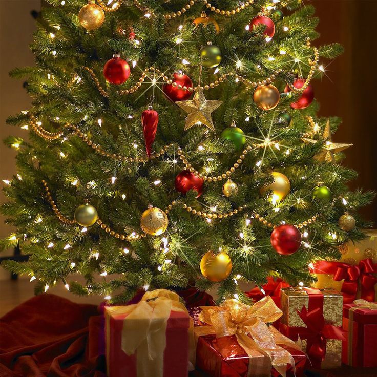 People Decorating A Christmas Tree 60 best new year tree decorations images on pinterest | christmas People Decorating A Christmas Tree 60 best new year tree decorations images on pinterest | christmas