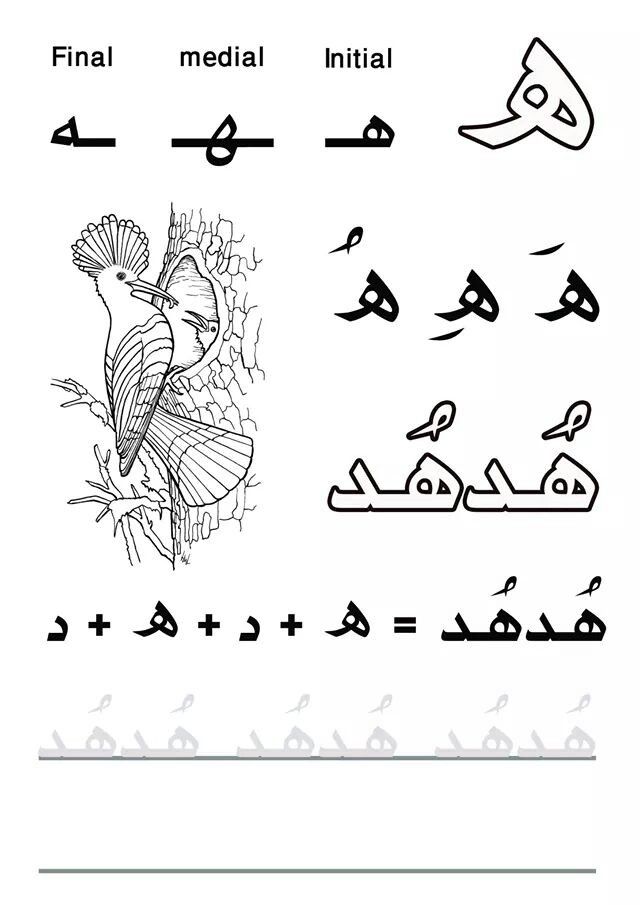 my first letters and words practicelearnarabic hrf alhaaa