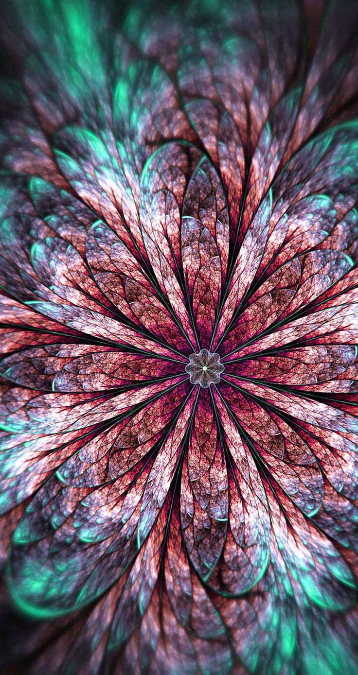 colorful flowers wallpaper for iphone amazing 3d flower colorful abstract 10 stunning beautiful colorful flowers wallpaper for iphone amazing 3d flower colorful abstract 10 stunning beautiful