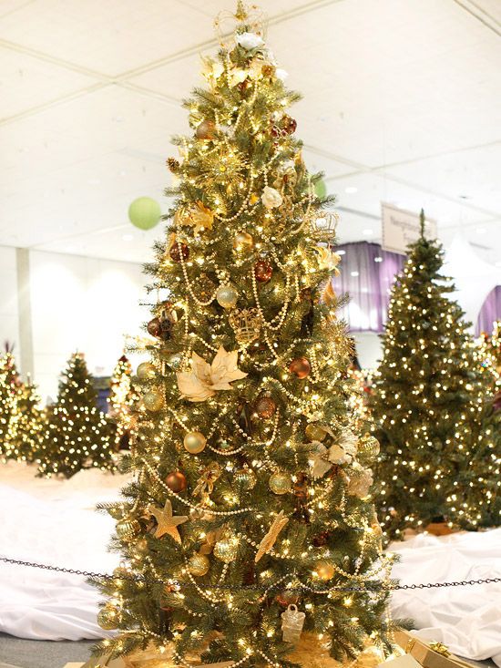 55 Best Christmas Trees Images On Pinterest Xmas Creative Christmas Tree Themes