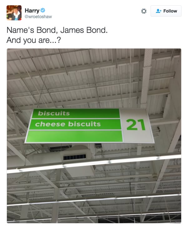 James Bond’s accomplice: | 26 Pictures That Are So, So Dumb But So, So Funny