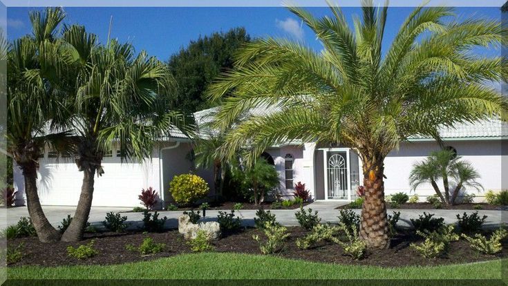 Pin On Decore - Small Palm Tree Garden Ideas Pin On Decore - Small Palm Tree Garden Ideas