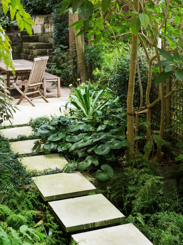 Garden Design Blog 153 best subtropical garden images on pinterest | tropical plants Garden Design Blog 153 best subtropical garden images on pinterest | tropical plants