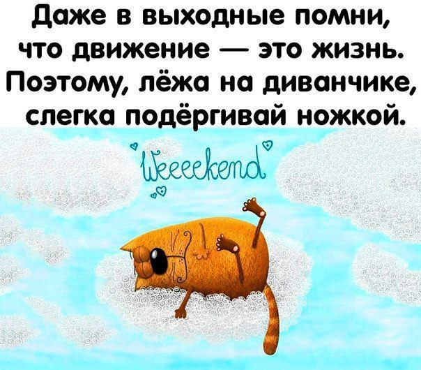 Открыток видео, впереди выходные смешные картинки
