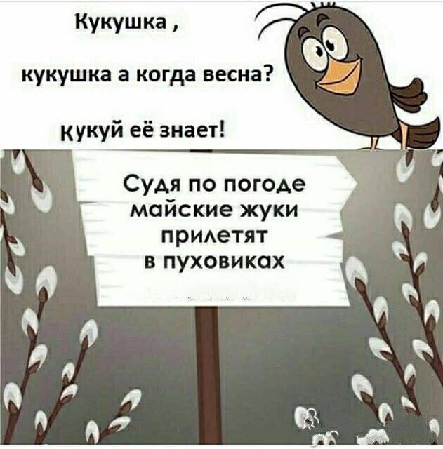Ну когда уже картинки прикольные, днем рождения