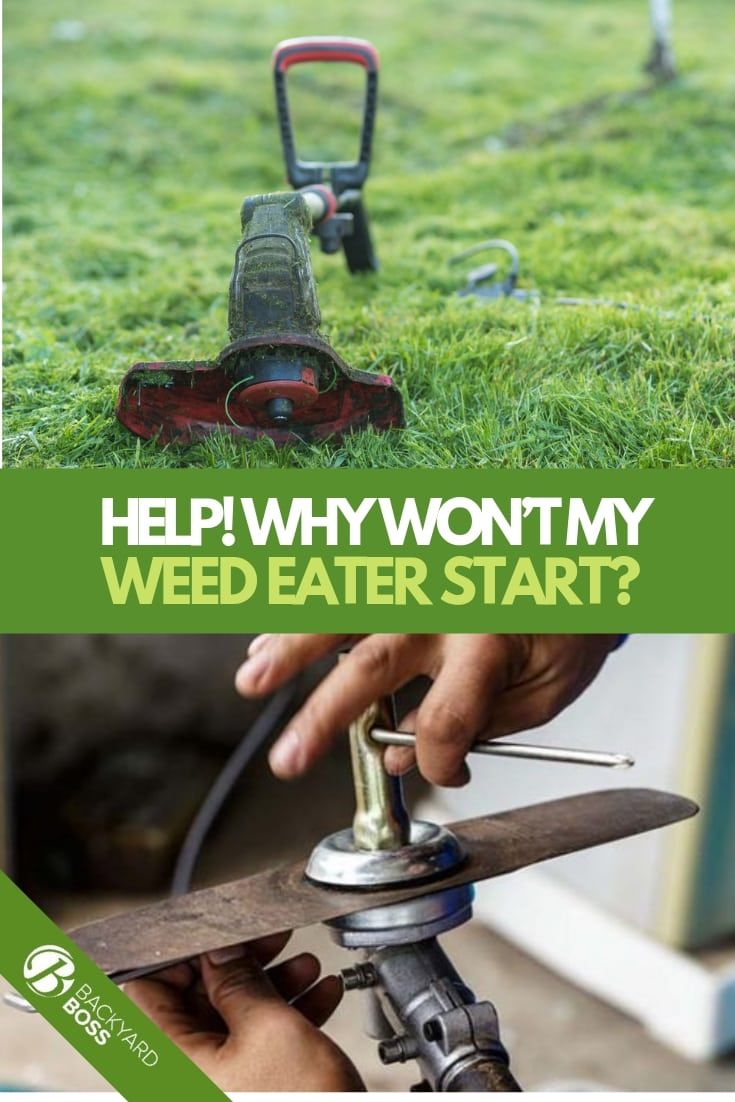 wondering why your weed eater won’t start? | Weed eaters, Garden hand