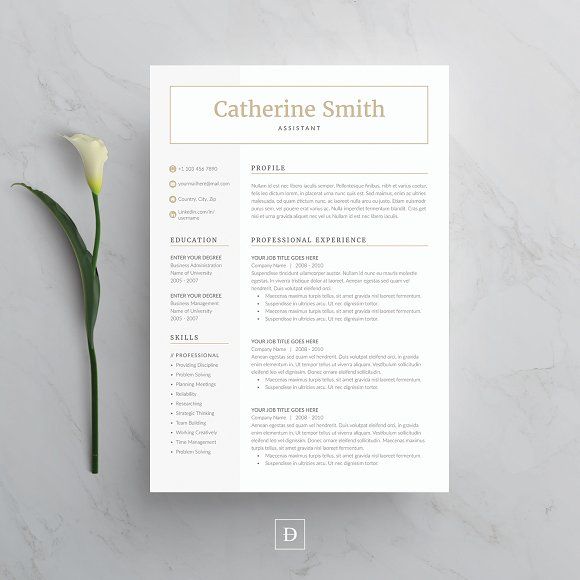 Word Resume & Cover Letter Template by DemeDev on RESUME TEMPLATE CV WORD RESUME TEMPLATE A4 US LETTER CLEAN RESUME