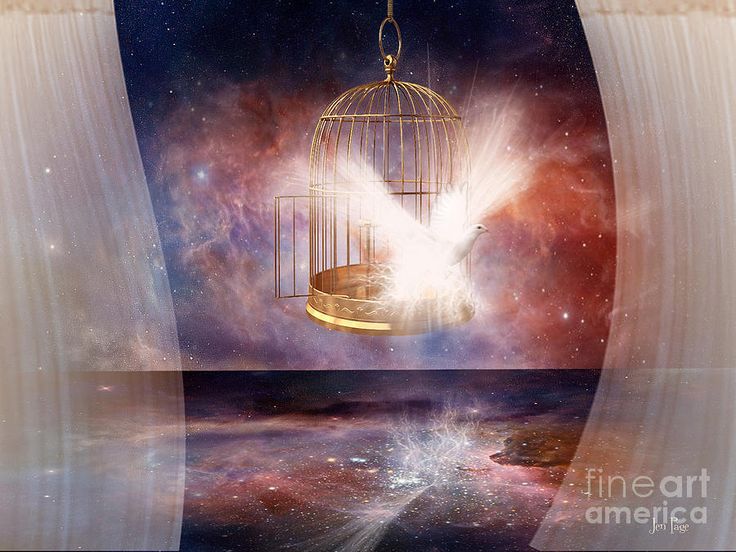 Image result for prophetic art He who the Son sets free is Free indeed