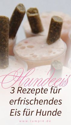 3 Rezepte für ein erfrischendes Eis für Ihren Hund | Leberwurst-Joghurt-Eis – Essen und trinken 3 Rezepte für ein erfrischendes Eis für Ihren Hund | Leberwurst-Joghurt-Eis – Essen und trinken