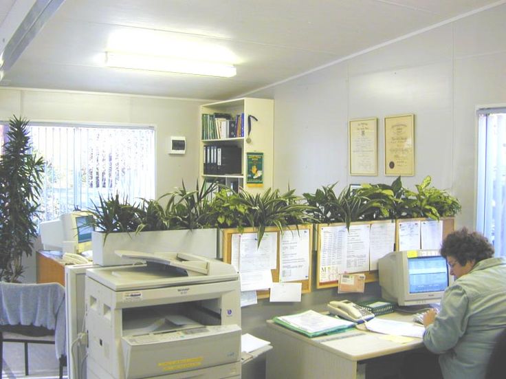 office planter boxes. planter boxes look great in any office ask green design at wwwgreendesign