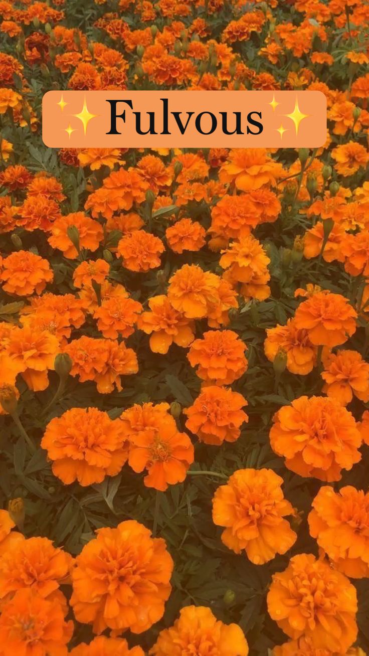 Some Rare Colors That You Probably Haven t Heard Of Nature some-rare-colors-that-you-probably-haven-t-heard-of-nature
