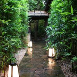 60+ Inspiring Small Japanese Garden Design Ideas - SeragiDecor.com