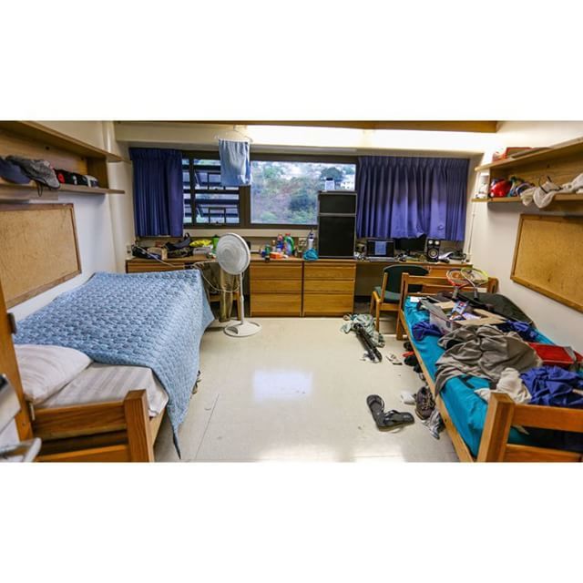 tips to survive college
