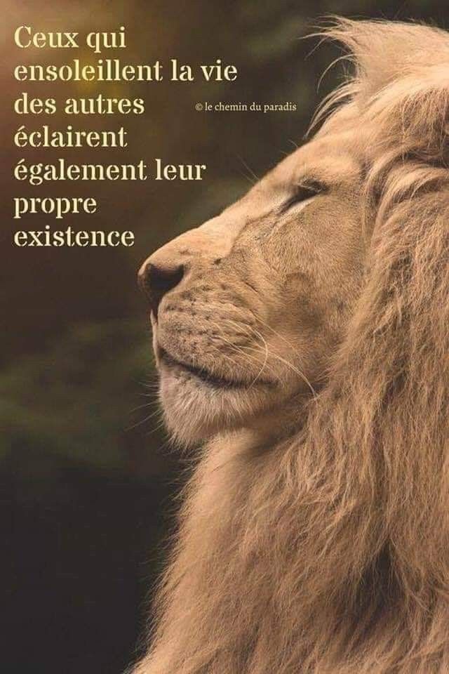Epingle Par Hamzaoui Hamzaoui Sur Luijoellejo Citation Citations Inspirantes Je Pense A Toi Epingle Par Hamzaoui Hamzaoui Sur Luijoellejo Citation Citations Inspirantes Je Pense A Toi