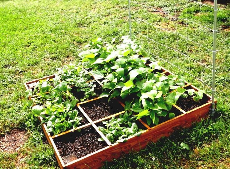 Die besten 25+ Quadratfuß gartenarbeitsplaner Ideen auf Pinterest - gartenplanung software kostenlos deutsch Die besten 25+ Quadratfuß gartenarbeitsplaner Ideen auf Pinterest - gartenplanung software kostenlos deutsch