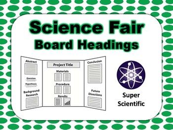 Where does the hypothesis go in a research paper