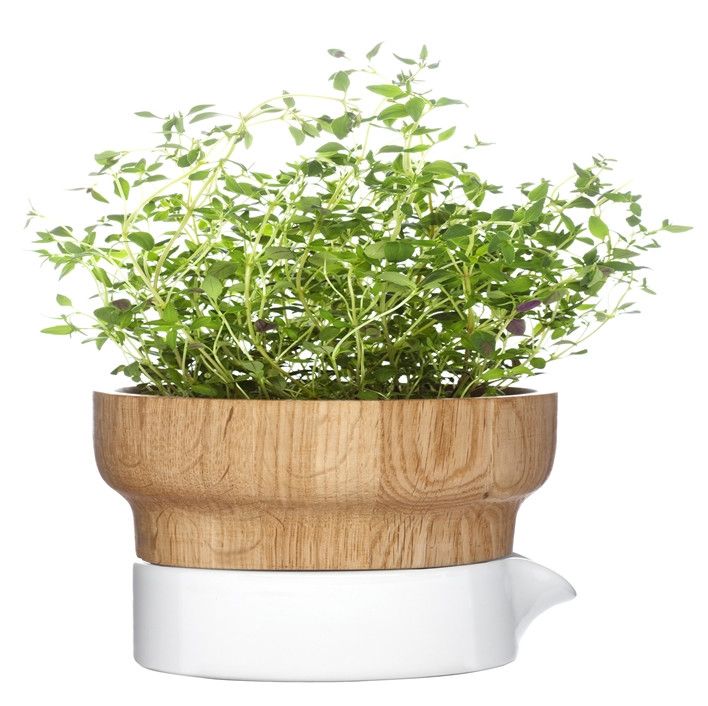 47 best a little herb garden images on pinterest 47 best a little herb garden images on pinterest