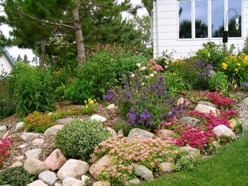 Flower Garden Ideas With Rocks 304 best rock gardens & ground covers images on pinterest Flower Garden Ideas With Rocks 304 best rock gardens & ground covers images on pinterest
