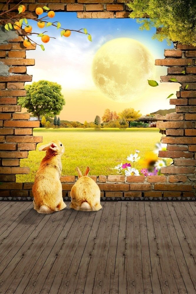 Backdrop 5x7ft Photography Background Brick Wall Window Landscape Nature Moon Trees Grassland Rabbits Vintage Wooden Floor 3d Children Portr Backdrops Backgrounds Photography Backdrops Background For Photography