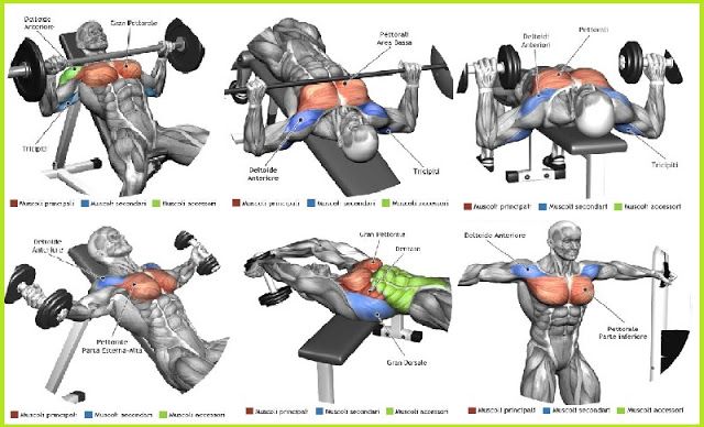 SEARCH AND BUY THIS PRODUCT Best Chest Muscle Exercises | Workout plans | Pinterest