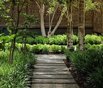 21 best liriope images on Pinterest | Monkey grass, Landscaping ... 21 best liriope images on Pinterest | Monkey grass, Landscaping ...