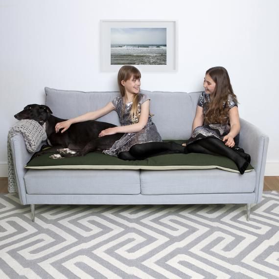 Pet Furniture Protector In Willow Wool Couch Pet Furniture Protector In Willow Wool