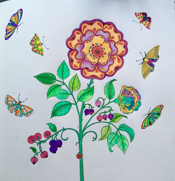 54 Best Secret Garden Rose Butterflies Images On Pinterest