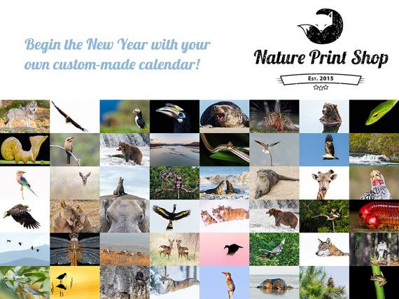 The 25+ best Create your own calendar ideas on Pinterest Pagan - how to create your own calendar The 25+ best Create your own calendar ideas on Pinterest Pagan - how to create your own calendar