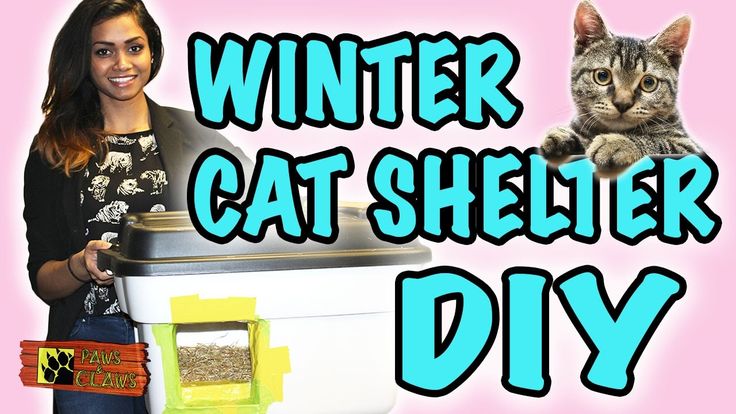 Outside Cat Houses Utube Outside Cat Houses Utube