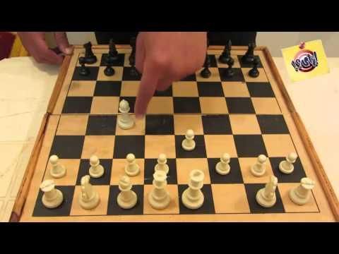 تعلم كيف تلعب الشطرنج للمبتدئين من الصفر حتى الاحتراف Chess Board