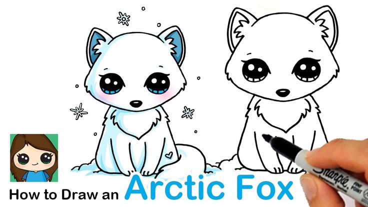 How to Draw an Arctic Fox Easy | Cute drawings, Kawaii drawings ...