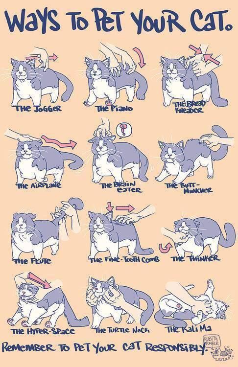 110 best Cat Art 2 images on Pinterest | Cats, Cat art and Drawings 110 best Cat Art 2 images on Pinterest | Cats, Cat art and Drawings