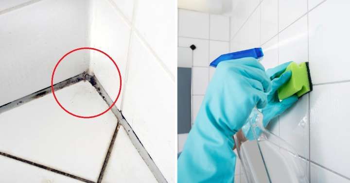 Pin En Limpiar Baño