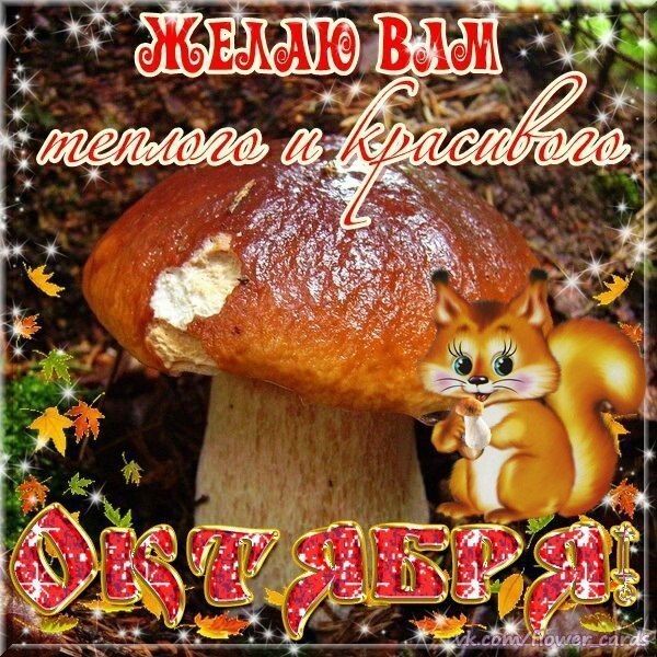 Открытки для, здравствуй октябрь открытки