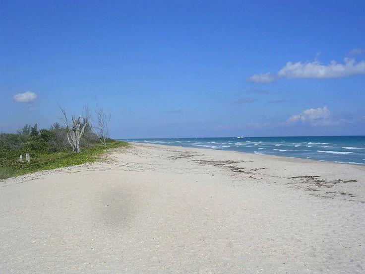 10 Best Port St Lucie Images On Pinterest Florida Port St Lucie Fl Lonely Beach 10 Min Drive From