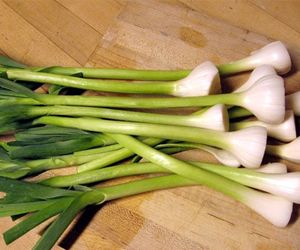 Koloniala höjder heta kvinnor image 2