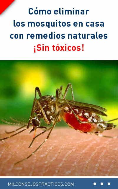 Cómo Eliminar Los Mosquitos En Casa Con Remedios Naturales Sin Tóxicos Eliminar Repelente Mosquitas Natural Mosquito Vicks Vaporub Anti Mosquito