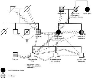 family systems therapy