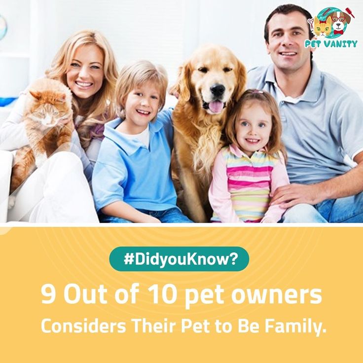 𝐅𝐚𝐜𝐭𝐬 𝐎𝐟 𝐓𝐡𝐞 𝐃𝐚𝐲 | Pet grooming salon, Pet grooming, Pet salon