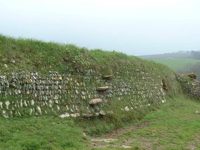 Image result for path top hedge bank cornwall