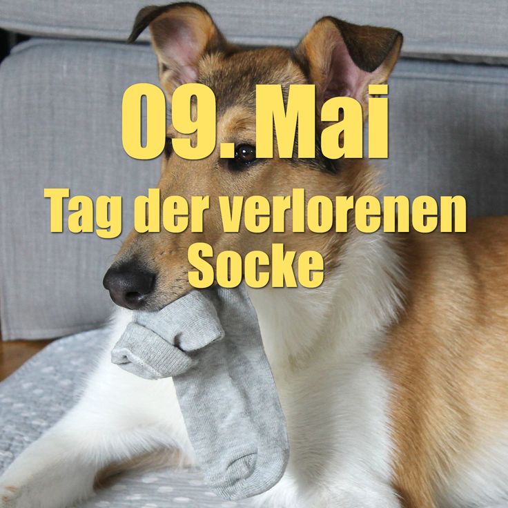 Ist Heute Feiertag In Holland Ist Heute Feiertag In Holland
