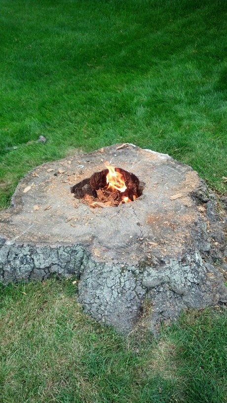 Build a fire pit around an old tree stump and its a cool way to make it disappear over time | Landscaping around trees, Garden fire pit, Fire pit backyard